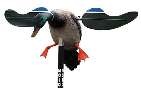 MOJO HW4401 BABY DRAKE        6V DECOY