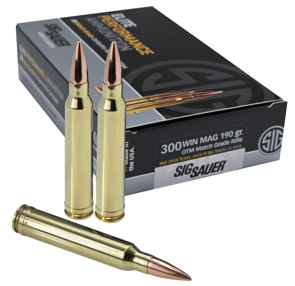 SIG E3WMM1-20 300MG 190 OTM MTCH 20-10