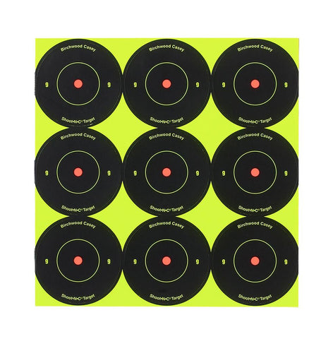 BIR 34210 SHOOT-N-C 2IN RND AR215 12PK