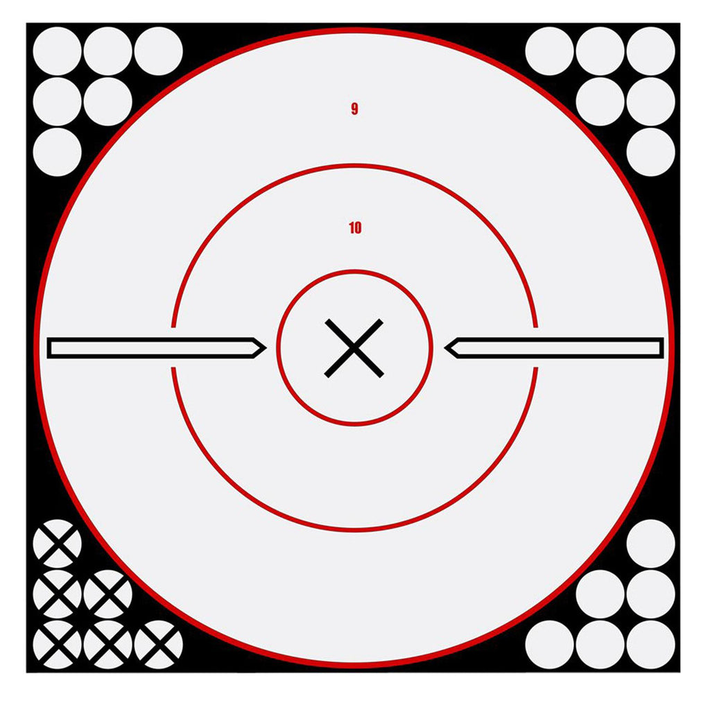 BIR 34019 SHOOT-N-C 12IN ROUND TGT   5