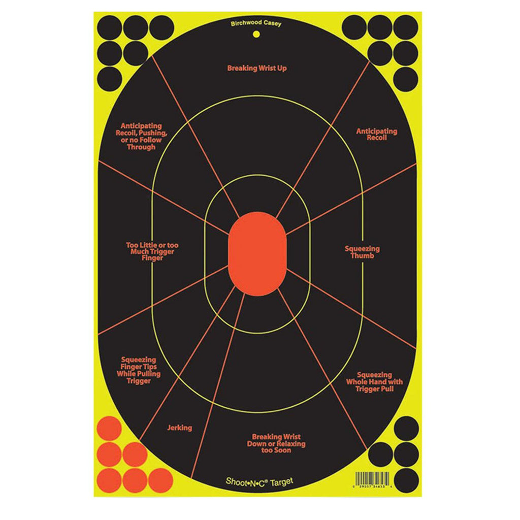 BIR 34655 SHOOT-N-C 12X18 HANDGUN    5