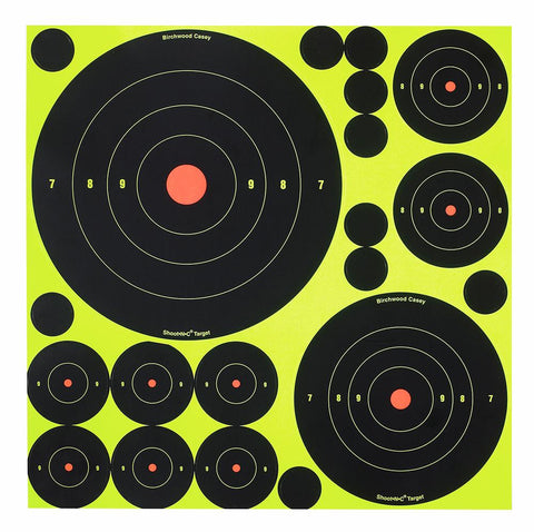 BIR 34018 SHOOT-N-C VARIETY VP5    5PK