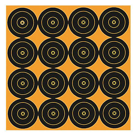 BIR 36348 BIG BURST 3IN TARGETS     48