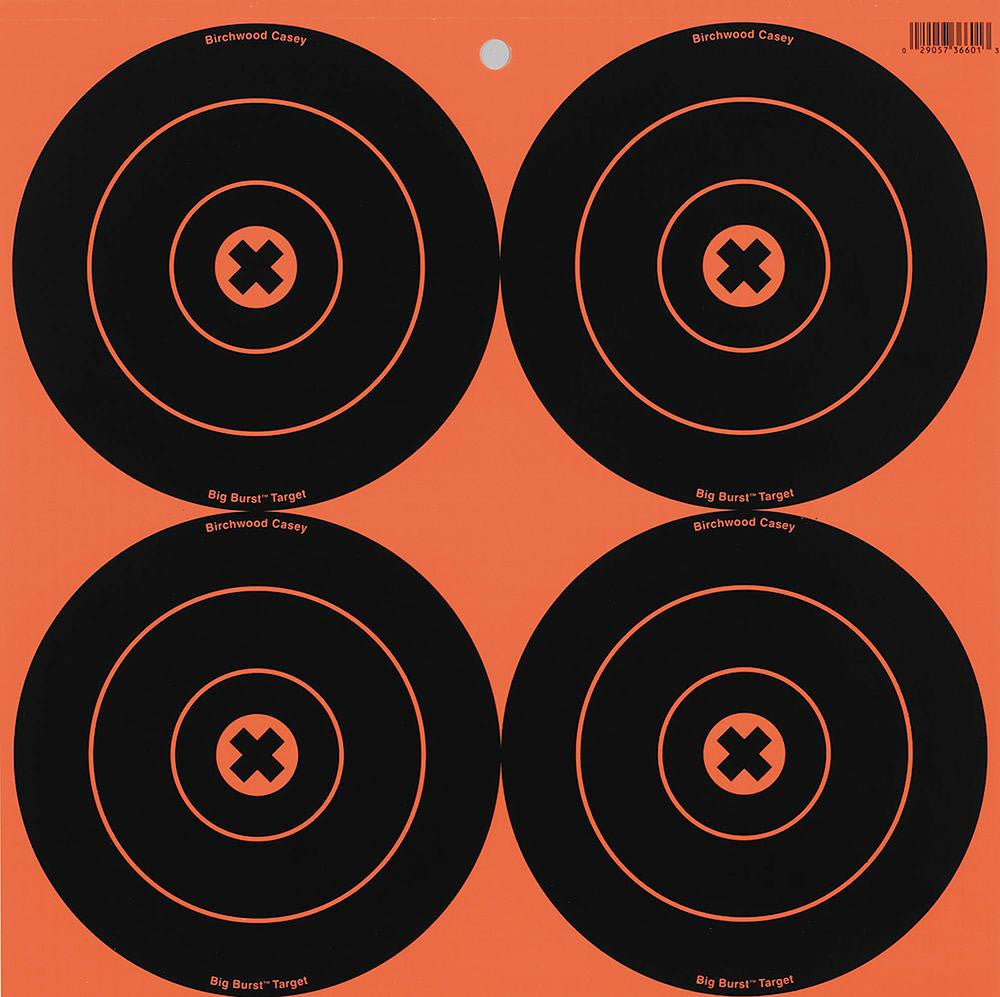 BIR 36612 BIG BURST 6IN TARGETS     12