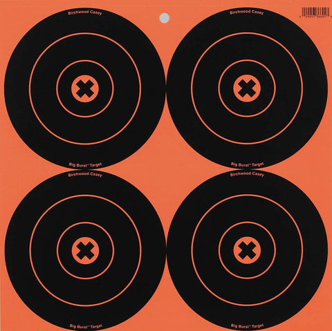 BIR 36612 BIG BURST 6IN TARGETS     12